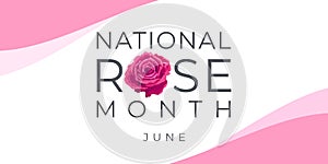National rose month. Vector banner, illustration for social media, card, poster. Text and rose on a white, pink background