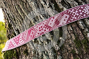 National symbols of Latvia - Lielvarde belt around the tree photo