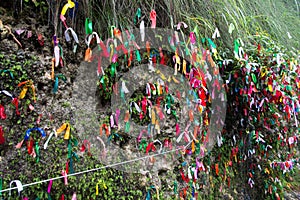 The national tradition of Abkhazia. The tapes are tied for the fulfillment of desires. motley colored ribbons, tied to the green g