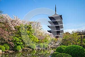 National treasure Five storied pagoda of Toji temple in Kyoto