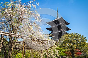 National treasure Five storied pagoda of Toji temple in Kyoto photo