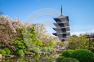 National treasure Five storied pagoda of Toji temple in Kyoto photo