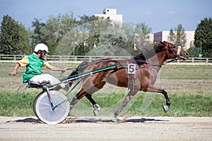 National trotting derby in Ploiesti - third place