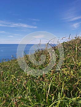 National trust walk to Baggy point in Devon
