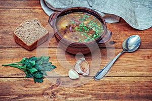 National Ukrainian dish â€“ red borsch with beans and cut green onion