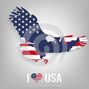 National USA symbol eagle with an official flag and map silhouette. North America. Vector