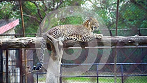 The National Zoological Park in New Delhi, India.