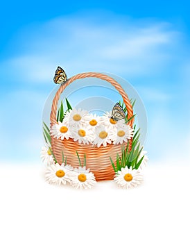Natire background with summer flowers in basket photo