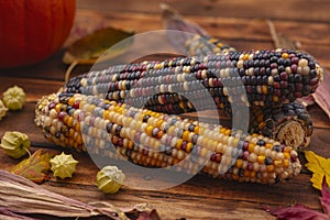 Native American Corn on a Wooden Background