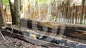 Native American dugout in different stages of construction