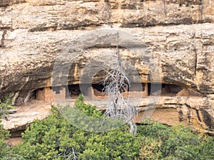 Native American dwelling in Mesa Verde