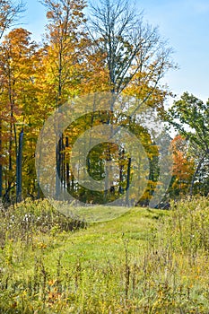 Native American Effigy Mound in Fall