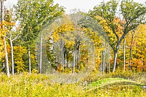 Native American Effigy Mound in Fall