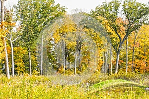 Native American Effigy Mound in Fall photo