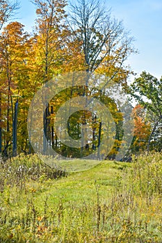 Native American Effigy Mound in Fall photo