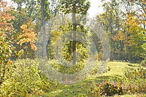 Native American Effigy Mound in Fall photo