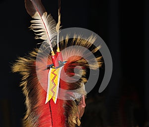 Native American Feathered Headdress at Powwow