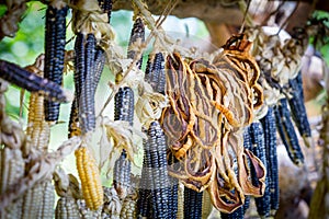 Native American Food Market