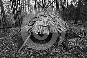 Native American Hut in Park