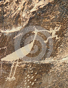 Native american petroglyphs