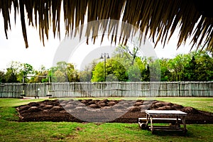 Native American Three Sisters Garden