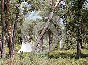 Native American Tipis