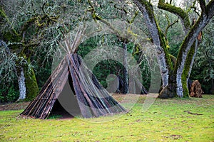 Native American traditional Me-Wuk ceremony lodging during daytime photo