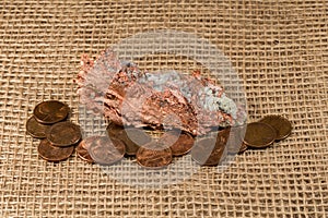 Native Copper Nugget with Copper Pennies
