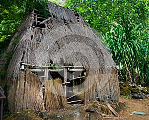 Inländisch hawaiisch Hütte 