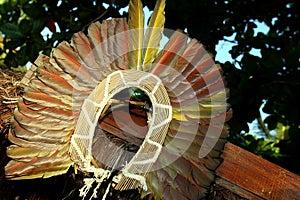 Native headdress