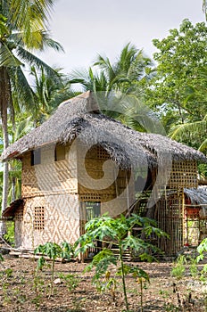Native house of Mandaya tribe