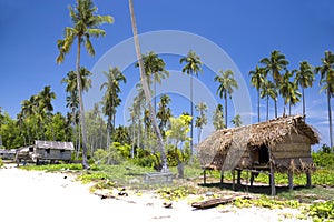 Native Hut on Tropical Island