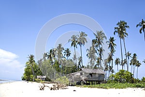 Native Huts on Tropical Island