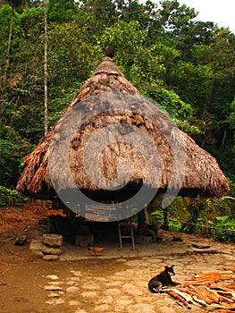 Native Ifugao Hut