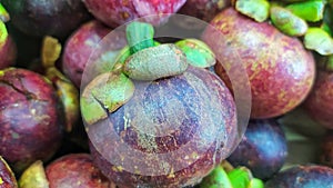 A native Indonesian fruit called mangosteen is sold in groceries