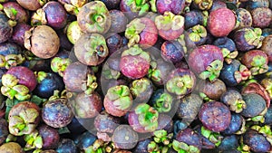 A native Indonesian fruit called mangosteen is sold in groceries