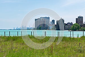 Native Plants in front of the Rogers Park Skyline and the Downtown Chicago Skyline in the distance with Lake Michigan