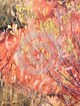 Native Tree Leaves and Bright Red Soil, Oil Painting Style, Uluru, Australia