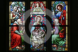 Nativity Scene, stained glass