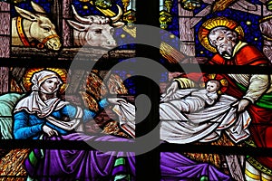 Nativity Scene Stained Glass