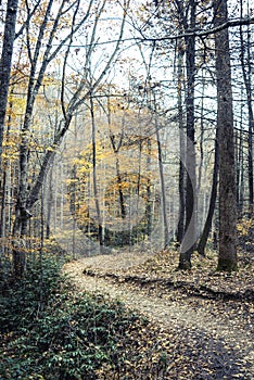 Natrue Trail in North Carolina