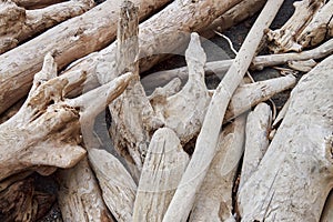 Natural abstract background, nature pattern. Smooth logs carried by wave to shore of sea or ocean