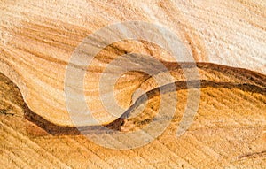 Natural Abstract wave pattern on sandstone wall, clastic sedimentary rock composed.