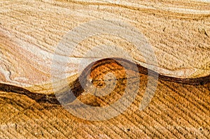 Natural Abstract wave pattern on sandstone wall, clastic sedimentary rock composed.