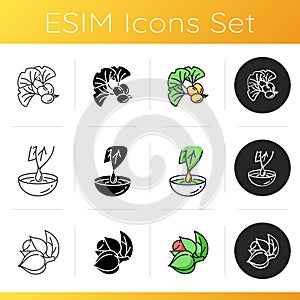 Natural additives icons set