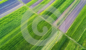 Natural aerial landscape on the agricultural subject