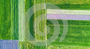 Natural aerial landscape on the agricultural subject