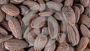 Natural almonds nuts at background