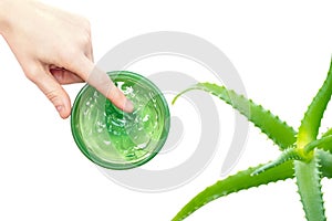 Natural aloe vera or cucumber gel in jar with women hand isolated on white. Flat lay with aloe leaves. Space for text