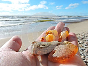 Natural amber on Baltic sea coast, Lithuania